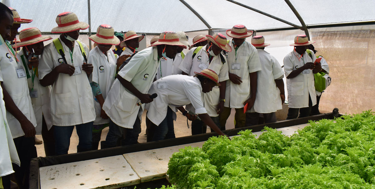 Hydroponics