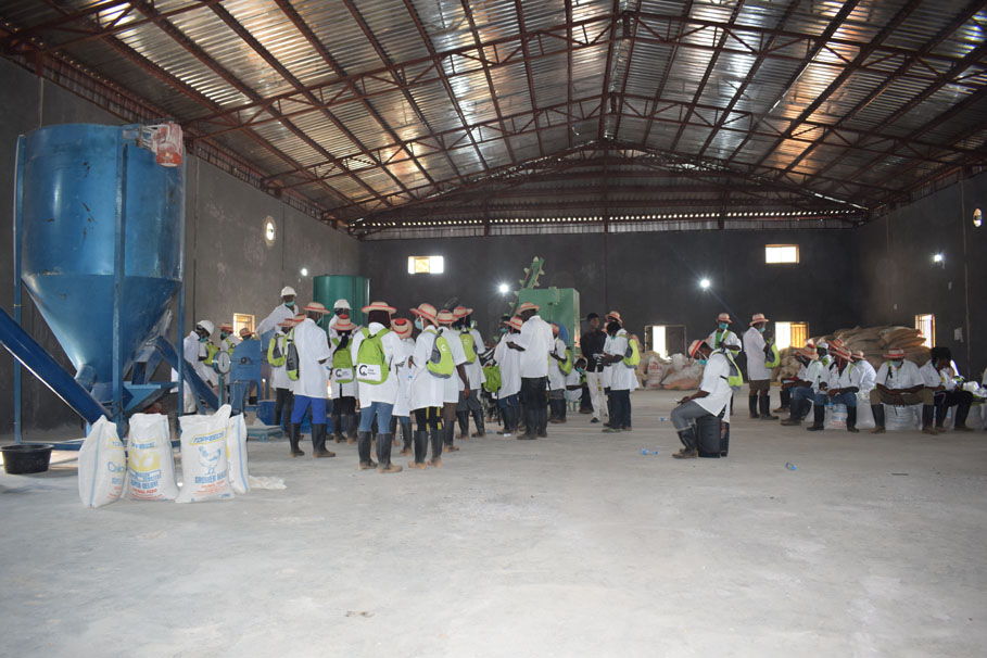 Feed Production